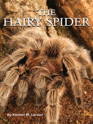 cover image of The Hairy Spider